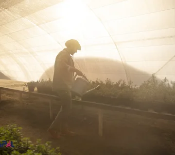 agricultural-industry